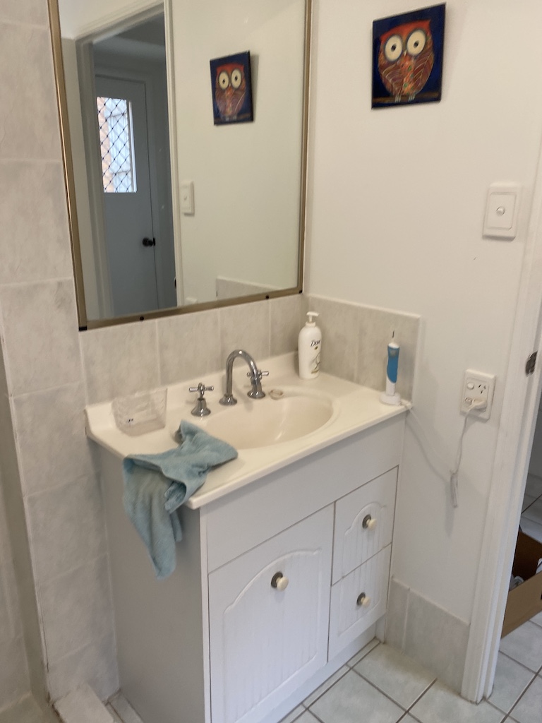 before a bathroom reno