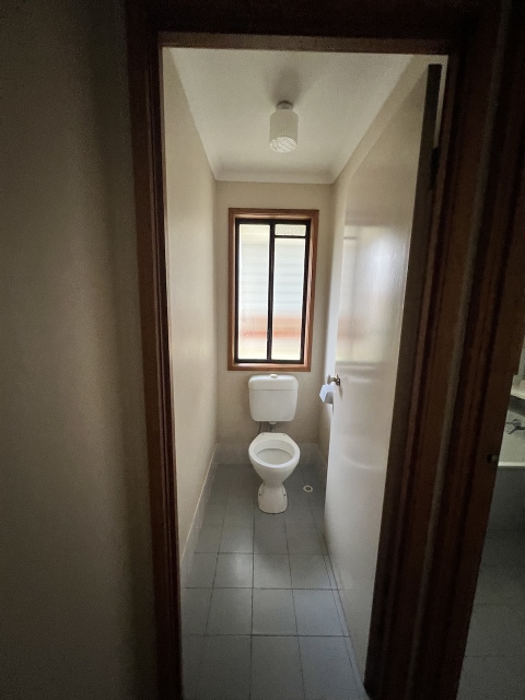 victorai point toiletbefore
